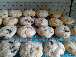 biscuits fait par Morgane 20 fevrier 20143