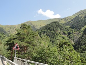 DSC07992