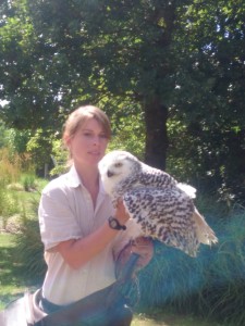 Julie et la Chouette  harfang des neiges